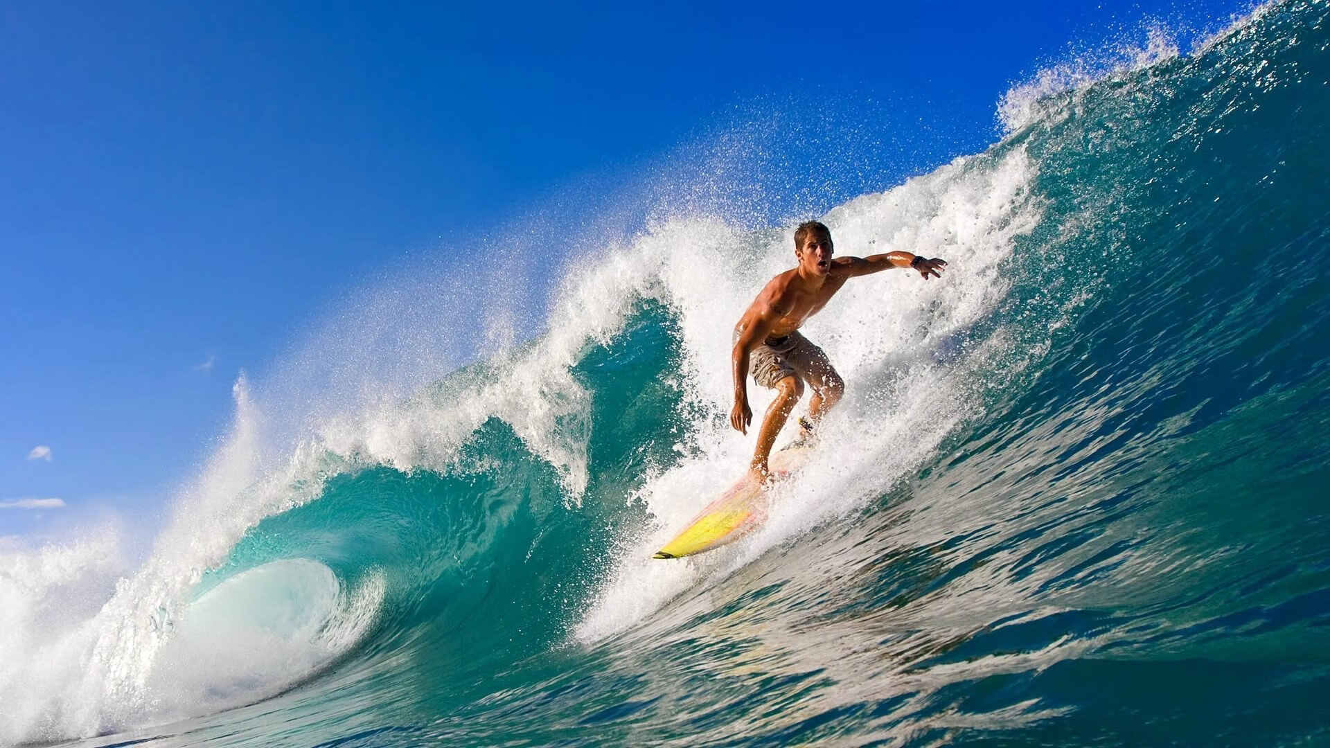 奥运村人性化空间设计获得国际设计奖项,奥运村布局